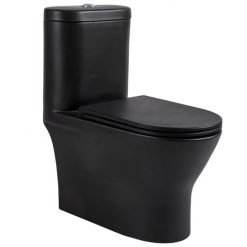 Rasland สุขภัณฑ์ชิ้นเดียว รุ่น AQ 9999-BLACK สีดำ