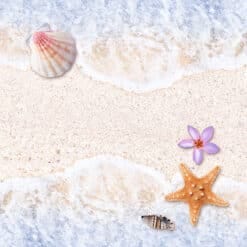 BIRDY กระเบื้อง นกลองบีช บลู A ขนาด16x16